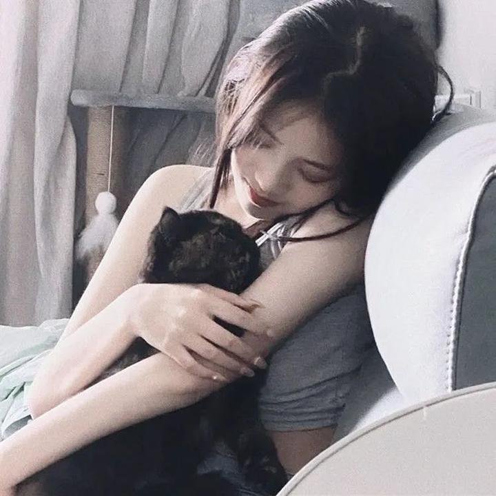 明星大侦探第六季 在线观看