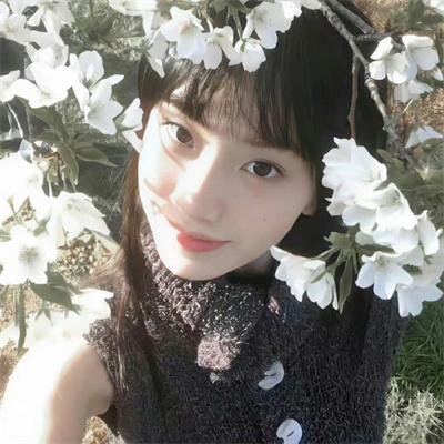 长相思 在线观看